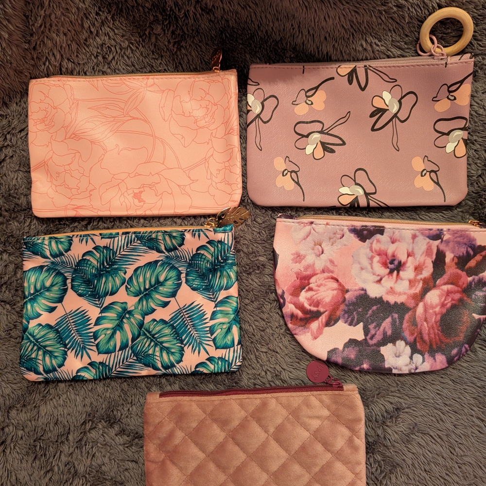 Set Of 5 Ipsy Cosmetic Bag